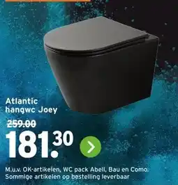 GAMMA Atlantic hangwc Joey aanbieding