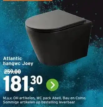 GAMMA Atlantic hangwc Joey aanbieding
