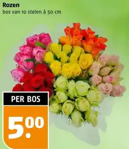 Poiesz Rozen aanbieding