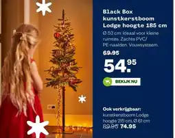 Welkoop Black Box kunstkerstboom Lodge hoogte 185 cm aanbieding