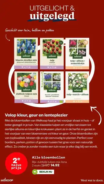 Welkoop Alle bloembollen aanbieding