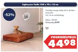 Huisdier Voordeelshop Ligkussen Yndis 100 x 70 x 15 cm aanbieding