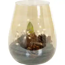 Albert Heijn AH Amaryllis in vaas goud aanbieding