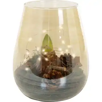 Albert Heijn AH Amaryllis in vaas goud aanbieding