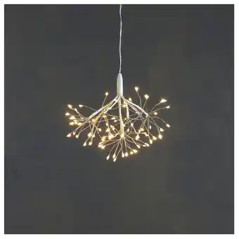 Pets Place Luca Lighting Dandelion Clusterverlichting Flash - Verlichting - Ø20 cm Warm Wit 80 led aanbieding