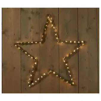 Pets Place Anna's Collection Ster 2-D Met Groen En Verlichting - Verlichting - Ø75 cm Wit Groen 70 led aanbieding