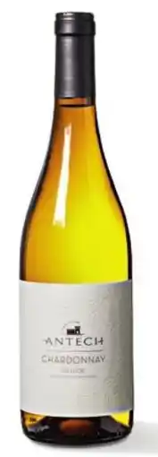 Sligro Antech Chardonnay aanbieding