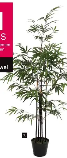 Karwei 1. Bamboe aanbieding