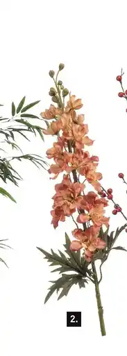 Karwei Delphinium spray aanbieding