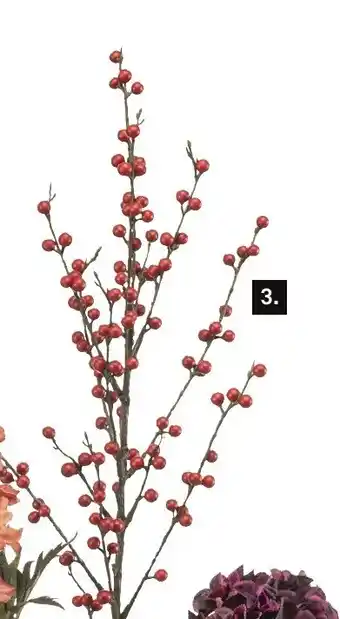 Karwei Ilex berry spray aanbieding