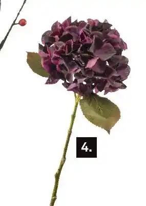 Karwei Hydrangea stem aanbieding