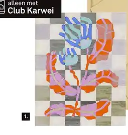 Karwei Rood aanbieding