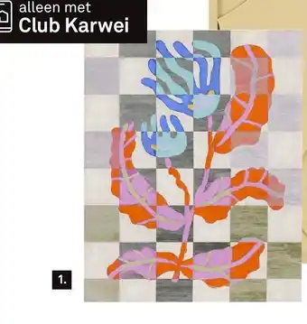 Karwei Rood aanbieding