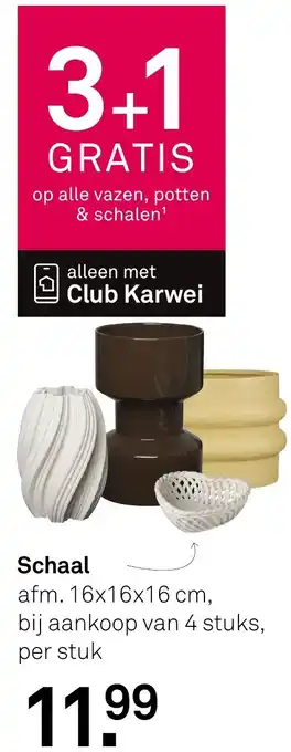 Karwei Schaal aanbieding