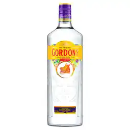 PLUS Gordon's Gin aanbieding
