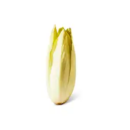 Dirk Hollandse Witlof aanbieding