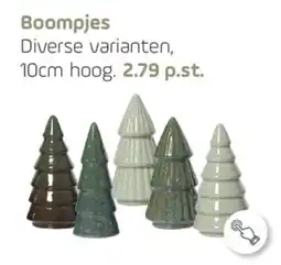 Coppelmans Boompjes aanbieding