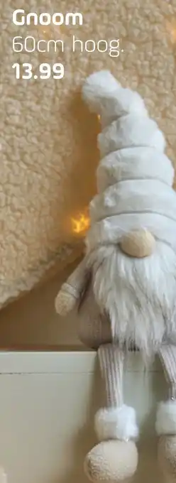 Coppelmans Gnoom 60cm hoog aanbieding