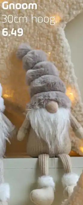 Coppelmans Gnoom 30cm hoog aanbieding