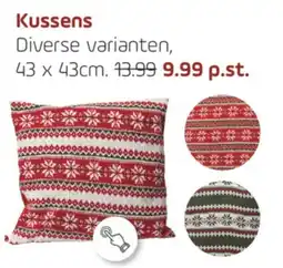 Coppelmans Kussens aanbieding