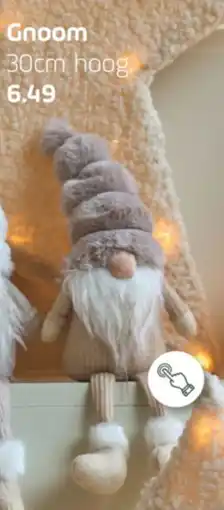 Coppelmans Gnoom aanbieding