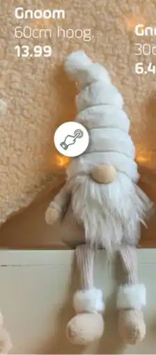 Coppelmans Gnoom aanbieding