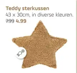 Coppelmans Teddy sterkussen aanbieding