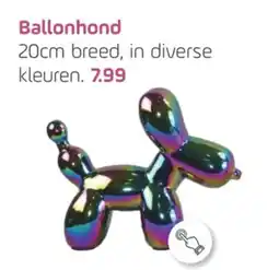 Coppelmans Ballonhond aanbieding