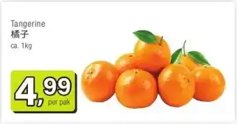 Amazing Oriëntal Tangerine 橘子 aanbieding
