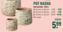 GroenRijk Pot masha Keramiek. Mint. aanbieding