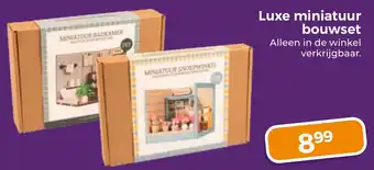 Trekpleister Luxe miniatuur bouwset aanbieding