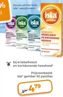 Trekpleister Isla gember aanbieding
