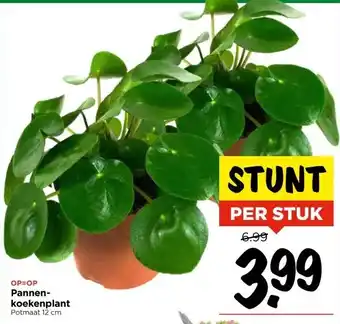 Vomar Voordeelmarkt Pannen- koekenplant aanbieding