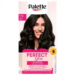 Kruidvat Palette Perfect Gloss 1-0 Zwart Niet-Permanente Haarverf aanbieding