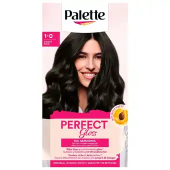 Kruidvat Palette Perfect Gloss 1-0 Zwart Niet-Permanente Haarverf aanbieding