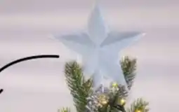 Kruidvat Ster piek aanbieding