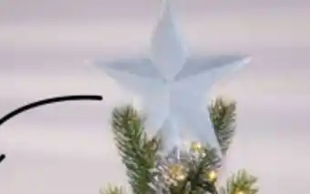 Kruidvat Ster piek aanbieding