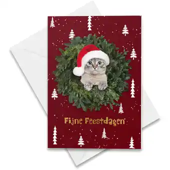 Albert Heijn Hallmark Hangpakje Kerst poes aanbieding