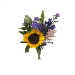 Albert Heijn AH Najaarsbloemen aanbieding