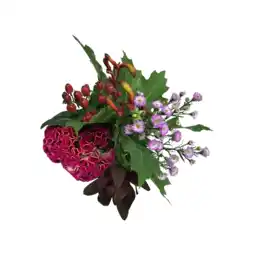 Albert Heijn AH Najaarsbloemen aanbieding