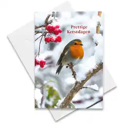 Albert Heijn Hallmark Hangpakje Kerst roodborstje aanbieding