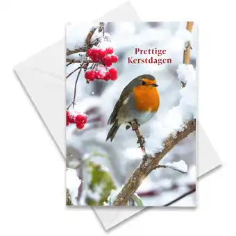 Albert Heijn Hallmark Hangpakje Kerst roodborstje aanbieding