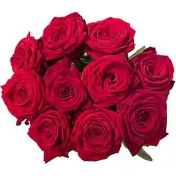 Albert Heijn AH Roos red naomi Hollands aanbieding