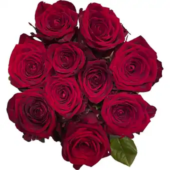 Albert Heijn AH Roos red naomi Hollands aanbieding