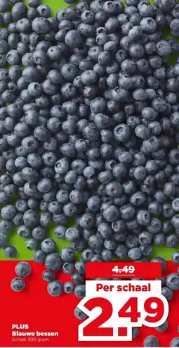 PLUS PLUS Blauwe bessen aanbieding