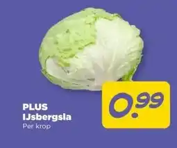 PLUS PLUS IJsbergsla aanbieding