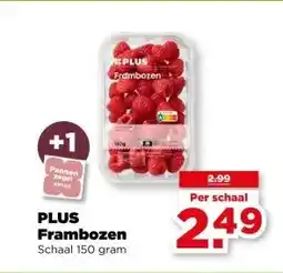 PLUS PLUS Frambozen aanbieding