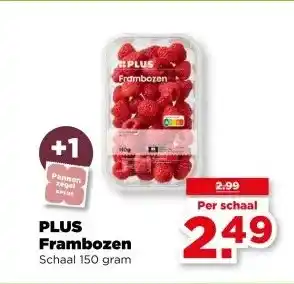 PLUS PLUS Frambozen aanbieding