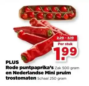 PLUS PLUS Rode puntpaprika's en Nederlandse Mini pruim trostomaten aanbieding