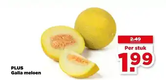 PLUS PLUS Galia meloen aanbieding